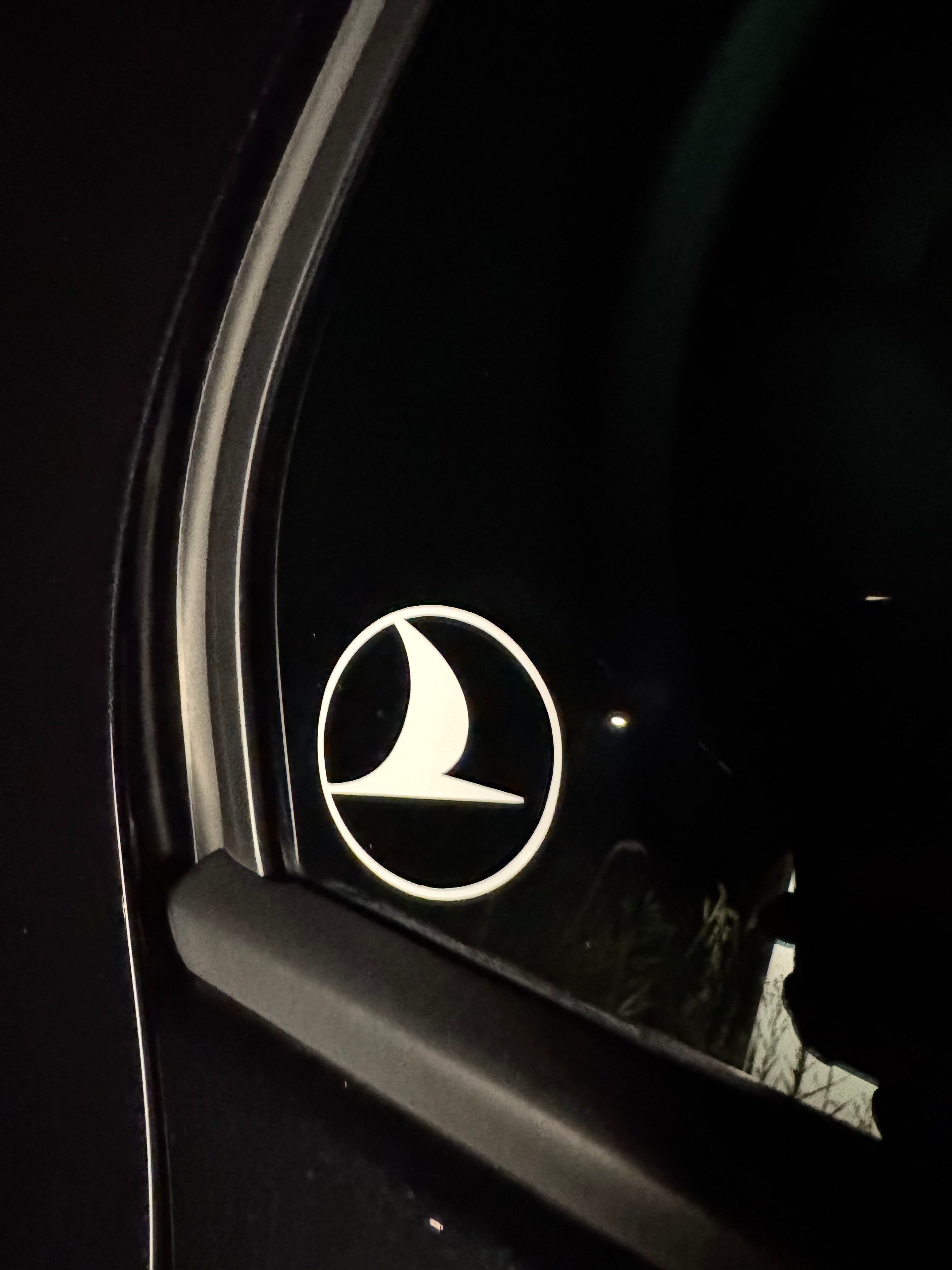 Turkish Airlines logo