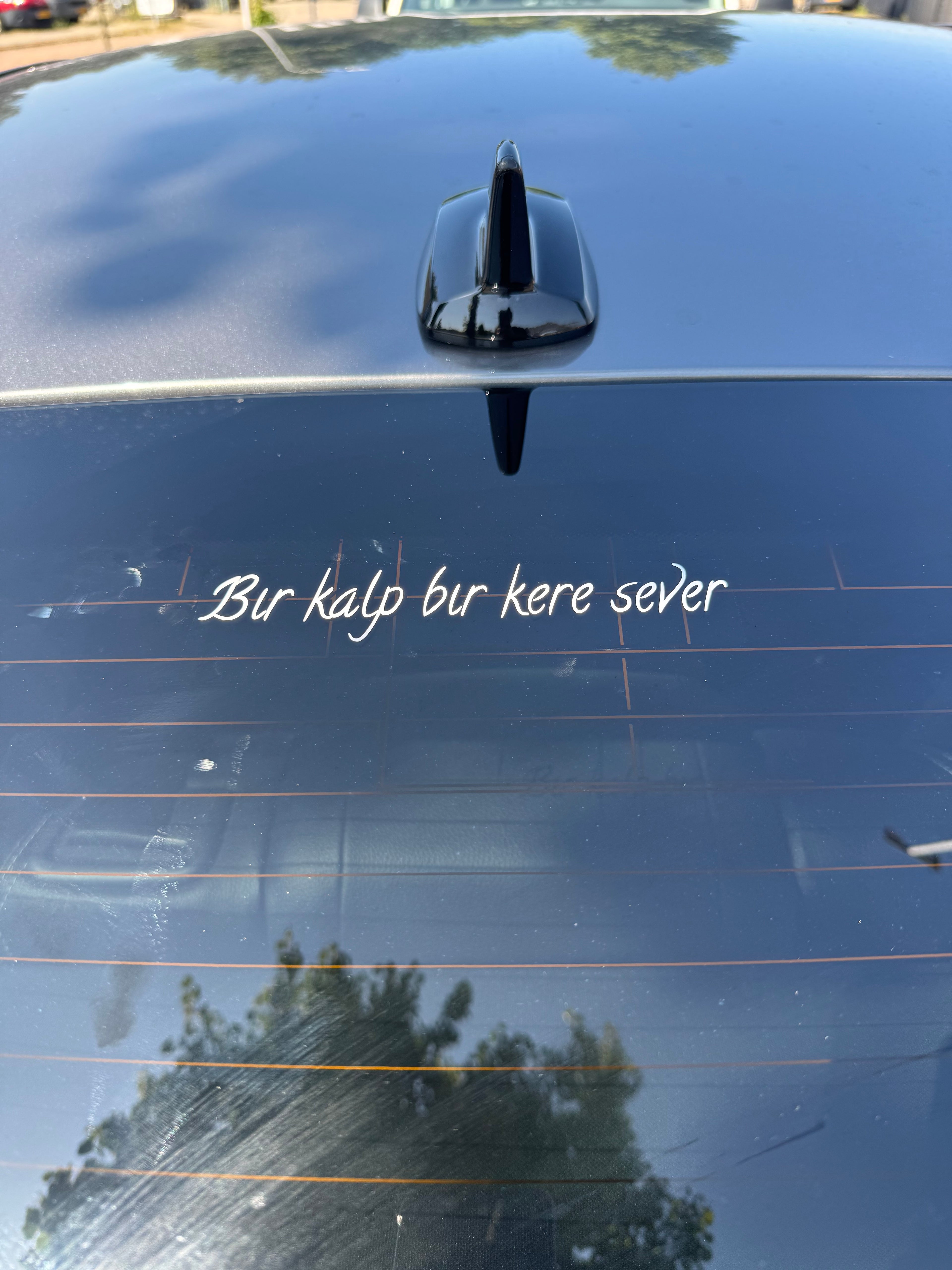 Bir kalp bir kere sever...