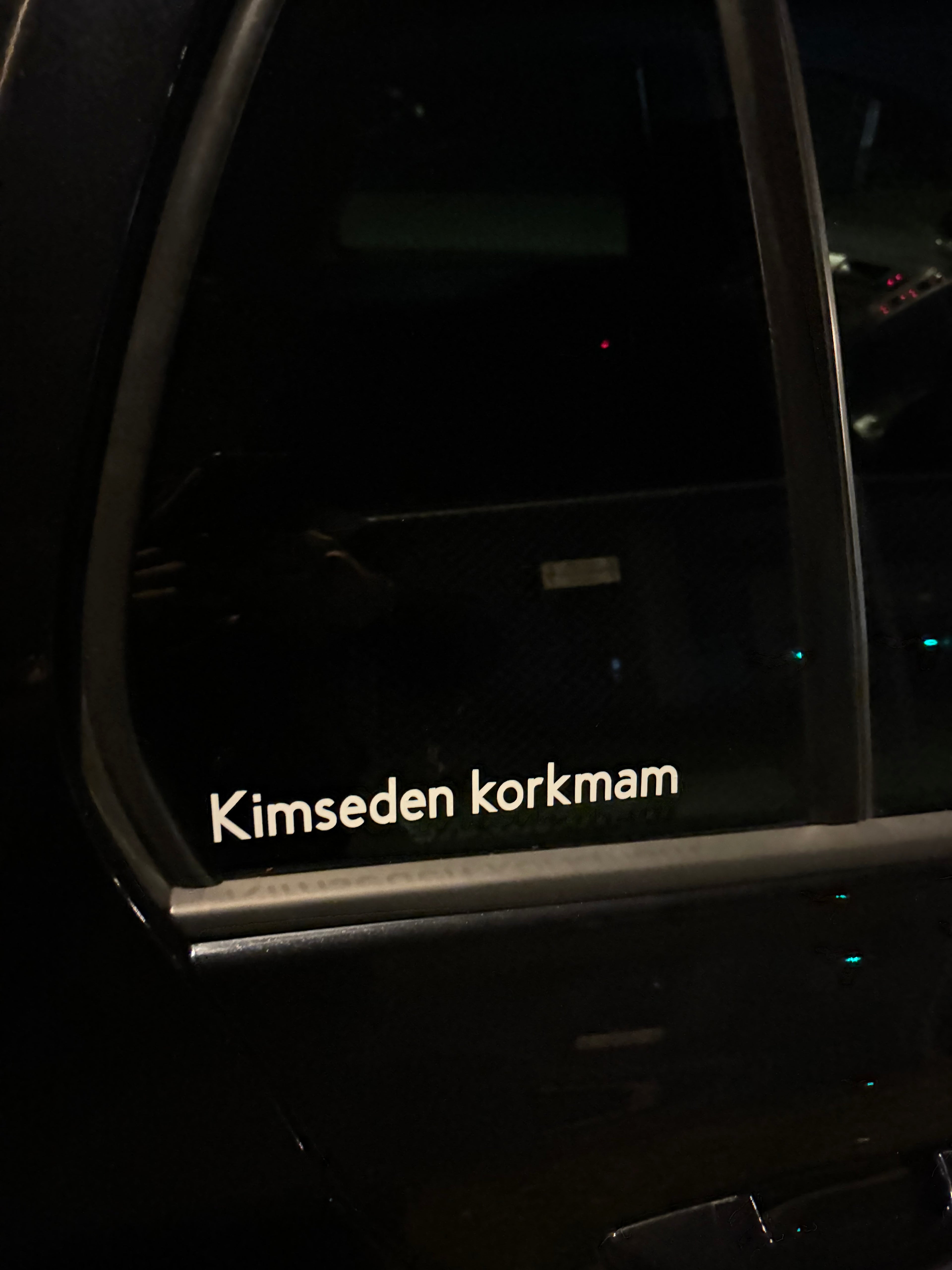 Kimseden korkmam.