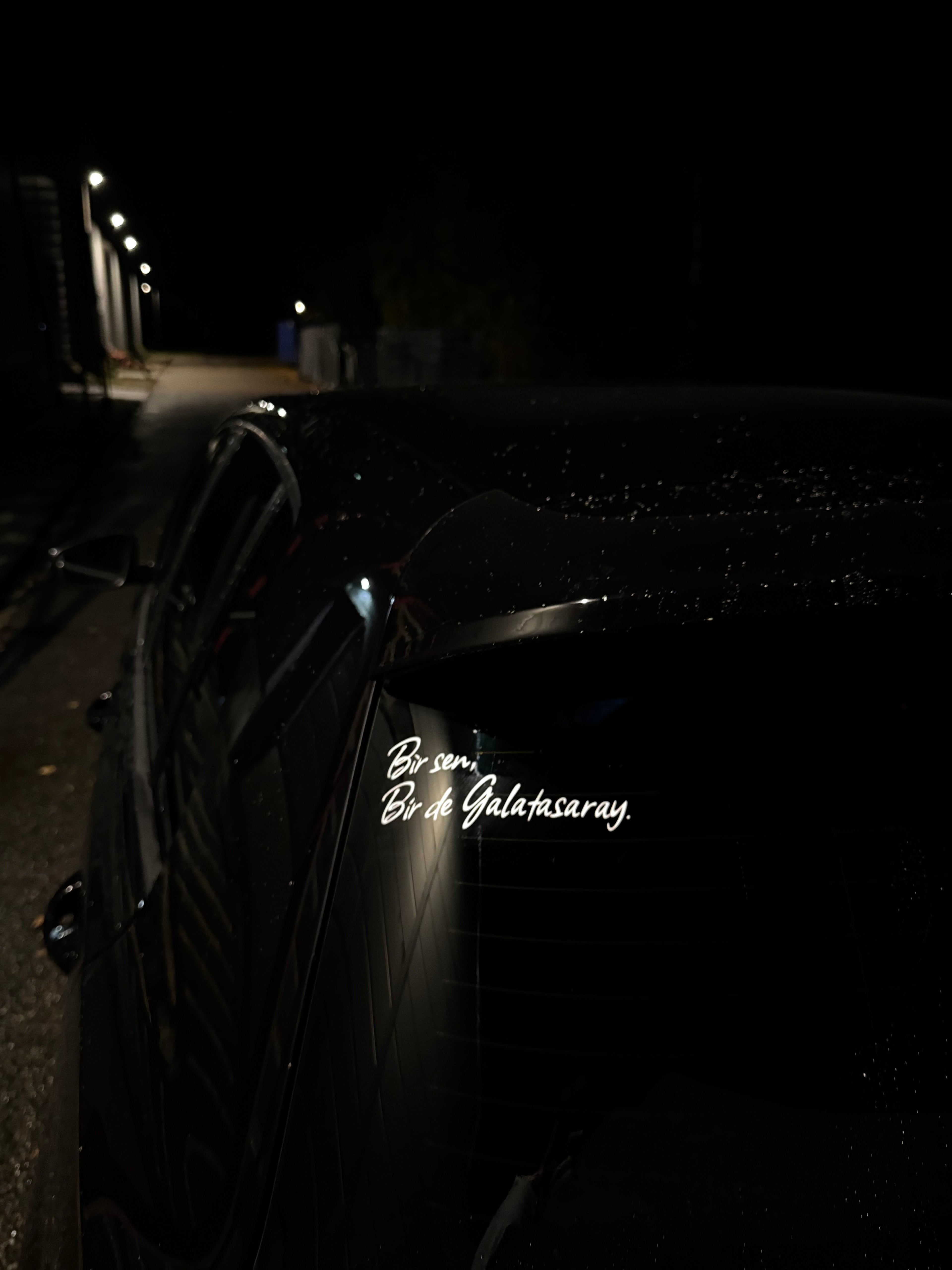 Bir sen, bir de Galatasaray.